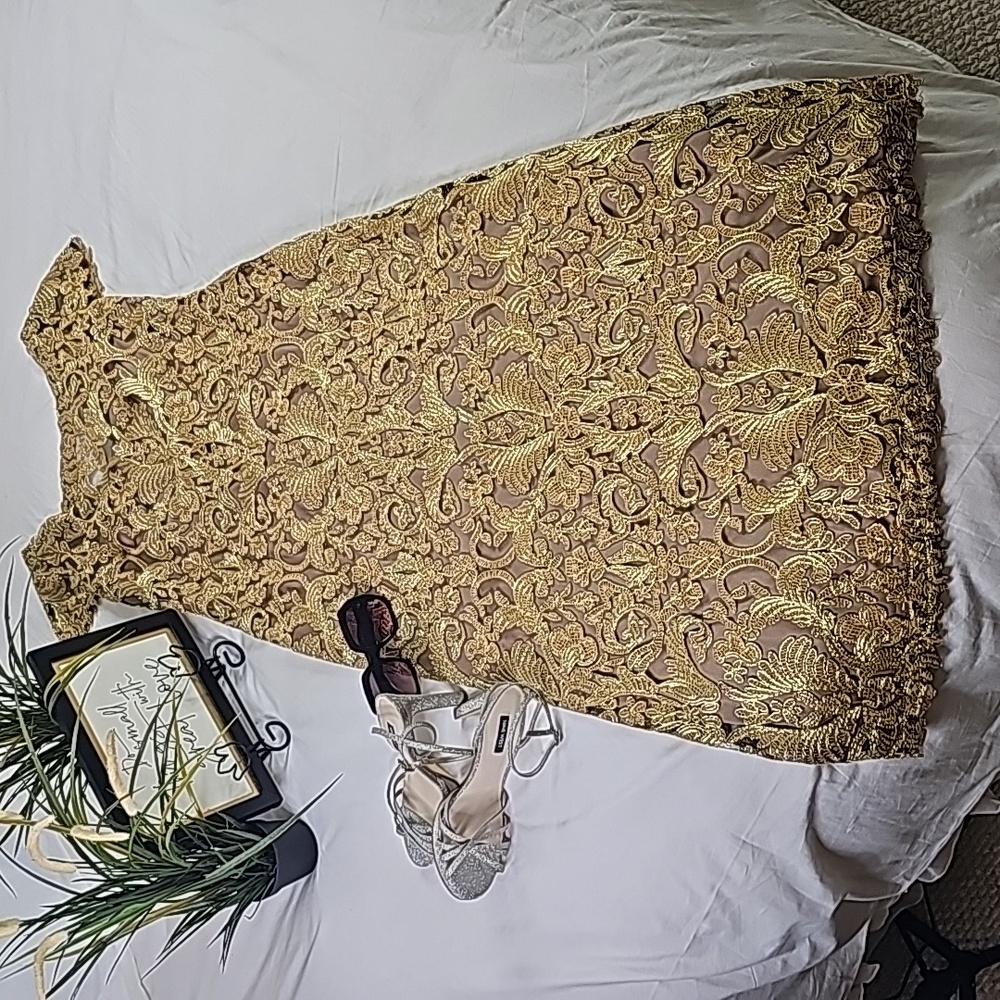 Tadashi Shoji Metallic Gold Embroidered Maxi Dress